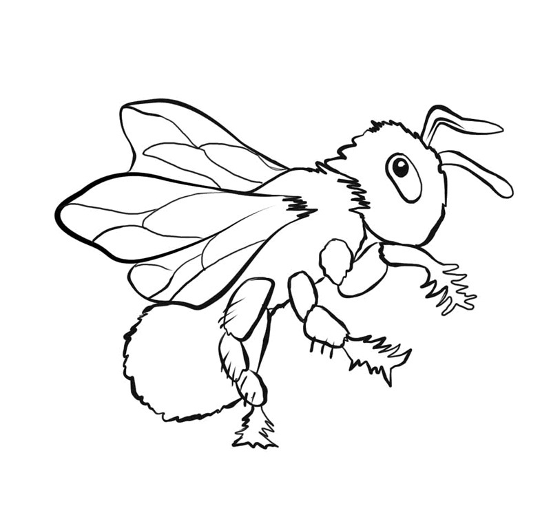 Plansa de colorat cu Albina 26 71